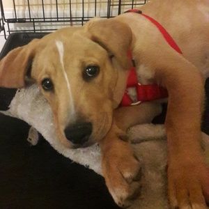 Meet your Posher, Ingrid